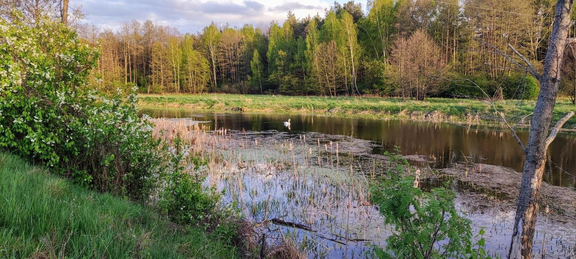 Panorama Podlasie Home&Spa Czyze Exteriér fotografie